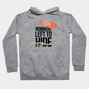 Dinosaur ‘nowhere left to hide’ Hoodie